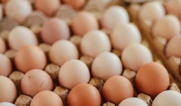 New prices for eggs set, effective from Wednesday