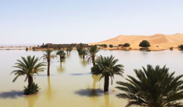 Sahara desert floods for first time in 50 years