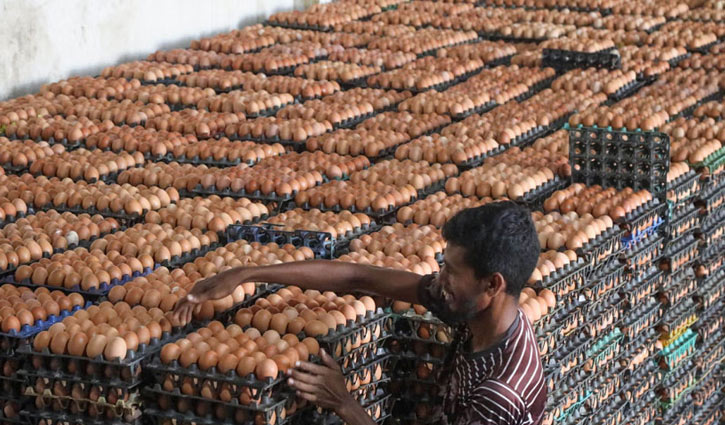 Eggs to be sold at govt set rate from Thursday