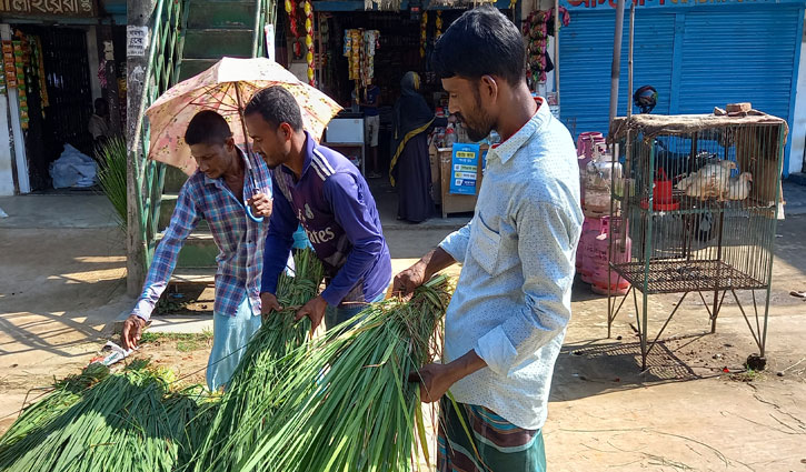 ঘাস বিক্রি করে জীবিকা 