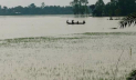 বন্যায় শেরপুরের কৃষিতে ক্ষতি ৫০০ কোটি টাকা