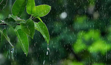 Rainfall likely to decrease from today