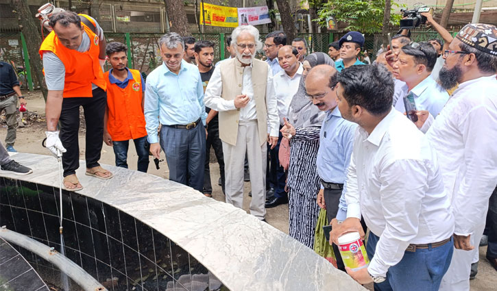 সচেতন হলে ডেঙ্গু সংক্রমণ হ্রাস পাবে: হাসান আরিফ