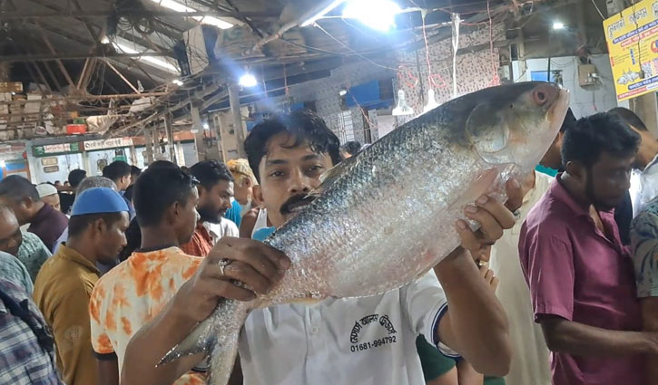 অনলাইনে ‘চাঁদপুরের ইলিশ’ নামে প্রতারণা, ৪১ প্রতিষ্ঠান-পেজ তালিকাভুক্ত