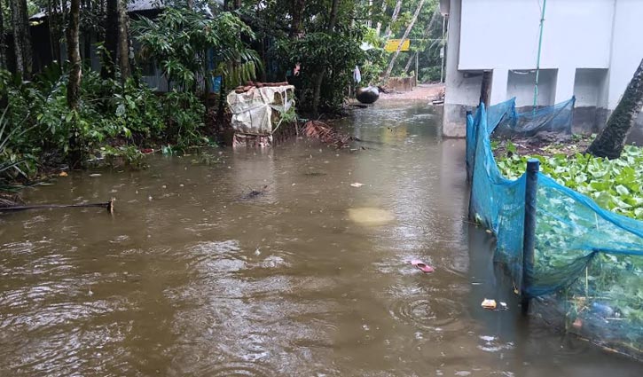 Rain continues in Lakshmipur