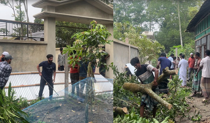 পুলিশ সদস্যের বিরুদ্ধে বেড়া ভাঙচুর ও গাছ কাটার অভিযোগ