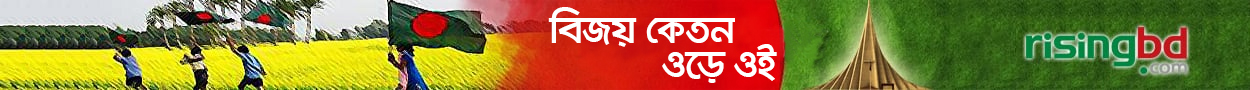 মহান বিজয় দিবস